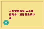 人参黄精海参(人参黄精海参：滋补养生的珍品)