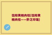 信阳黄精肉桂(信阳黄精肉桂——黔之珍馐)