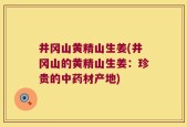 井冈山黄精山生姜(井冈山的黄精山生姜：珍贵的中药材产地)