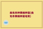 南充市种黄精种苗(南充市黄精种苗培育)