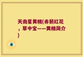 天南星黄精(赤箭红花，草中宝——黄精简介)