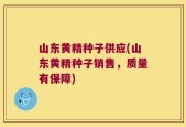 山东黄精种子供应(山东黄精种子销售，质量有保障)