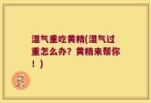 湿气重吃黄精(湿气过重怎么办？黄精来帮你！)