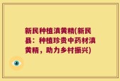 新民种植滇黄精(新民县：种植珍贵中药材滇黄精，助力乡村振兴)