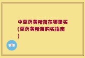 中草药黄精苗在哪里买(草药黄精苗购买指南)