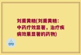 刘熏黄精(刘熏黄精：中药疗效显著，治疗疾病效果显著的药物)