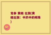党参 黄精 北旗(黄精北旗：中药中的明珠)