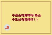中条山有黄精吗(条山中生长有黄精吗？)