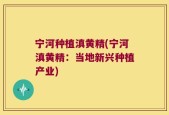 宁河种植滇黄精(宁河滇黄精：当地新兴种植产业)