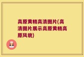 高原黄精高清图片(高清图片展示高原黄精高原风貌)