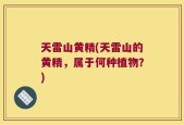 天雷山黄精(天雷山的黄精，属于何种植物？)