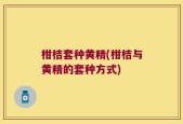 柑桔套种黄精(柑桔与黄精的套种方式)