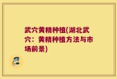 武穴黄精种植(湖北武穴：黄精种植方法与市场前景)