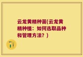 云龙黄精种苗(云龙黄精种植：如何选取品种和管理方法？)