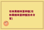 石林黄精块茎种植(石林黄精块茎种植技术分享)