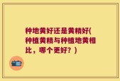 种地黄好还是黄精好(种植黄精与种植地黄相比，哪个更好？)