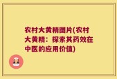 农村大黄精图片(农村大黄精：探索其药效在中医的应用价值)