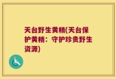 天台野生黄精(天台保护黄精：守护珍贵野生资源)