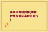 高坪区黄精种植(黄精种植在重庆高坪区盛行)