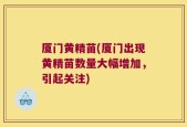 厦门黄精苗(厦门出现黄精苗数量大幅增加，引起关注)