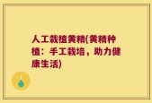 人工栽植黄精(黄精种植：手工栽培，助力健康生活)