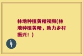 林地种植黄精视频(林地种植黄精，助力乡村振兴！)