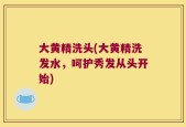 大黄精洗头(大黄精洗发水，呵护秀发从头开始)