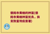 德阳市黄精的种苗(德阳市黄精种苗优良，扶贫致富效应显著)