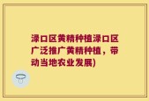 渌口区黄精种植渌口区广泛推广黄精种植，带动当地农业发展)