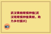 武汉黄精规模种植(武汉现规模种植黄精，助力乡村振兴)