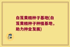 白芨黄精种子基地(白芨黄精种子种植基地,助力种业发展)