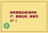 扬州黄精牡蛎(扬州特产：黄精牡蛎，鲜美可口！)