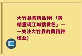 大竹县黄精品种(「黄精重现江城橘黄色」——关注大竹县的黄精种植业)