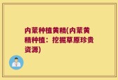 内蒙种植黄精(内蒙黄精种植：挖掘草原珍贵资源)