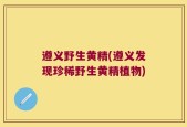 遵义野生黄精(遵义发现珍稀野生黄精植物)