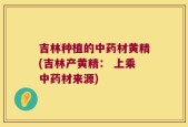 吉林种植的中药材黄精(吉林产黄精： 上乘中药材来源)