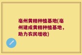 亳州黄精种植基地(亳州建成黄精种植基地，助力农民增收)