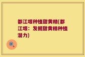 都江堰种植甜黄精(都江堰：发掘甜黄精种植潜力)