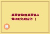 桑葚酒黄精(桑葚酒与黄精的完美结合！)