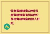 云南黄精蜂蜜功效(云南黄精蜂蜜有何功效？发现黄精蜂蜜的惊人好处)