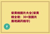柴黄精图片大全(柴黄精全貌：30+张图片展现藏药精华)