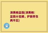 滇黄精盆栽(滇黄精：盆栽小宝藏，护肤养生两不忘)