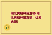湖北黄精种苗直销(湖北黄精种苗直销：优质选择)
