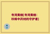 寺湾黄精(寺湾黄精：珍稀中药材的守护者)