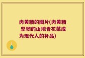肉黄精的图片(肉黄精 坚韧的山地青花菜成为现代人的补品)