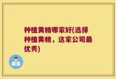种植黄精哪家好(选择种植黄精，这家公司最优秀)