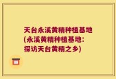 天台永溪黄精种植基地(永溪黄精种植基地：探访天台黄精之乡)