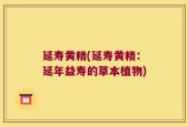 延寿黄精(延寿黄精：延年益寿的草本植物)