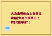 大冶市哪些山上有野生黄精(大冶市哪些山上有野生黄精？)