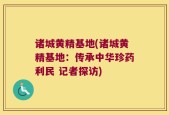 诸城黄精基地(诸城黄精基地：传承中华珍药利民 记者探访)